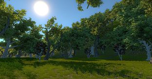 Turkey Hunting Unlimited