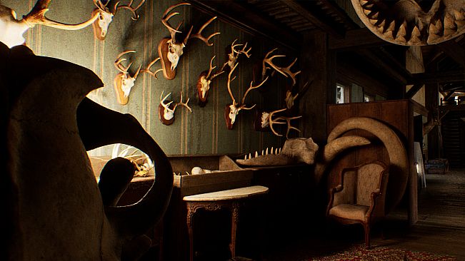 FEAR BOUNDS: Amelia story