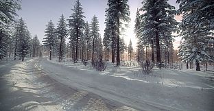 DiRT Rally 2.0 - Sweden (Rally Location)