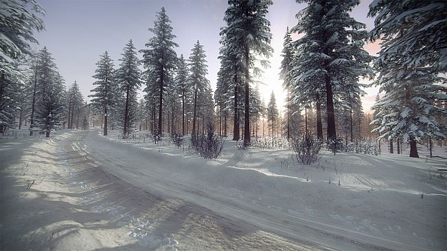 DiRT Rally 2.0 - Sweden (Rally Location)