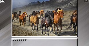Super Jigsaw Puzzle: Generations - Horses Puzzles