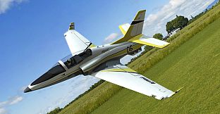 RealFlight Evolution - 2024 Year Content Pass