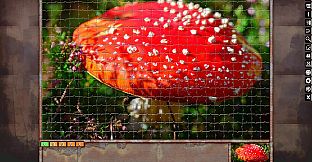 Jigsaw Puzzle Pack - Pixel Puzzles Ultimate: Macro