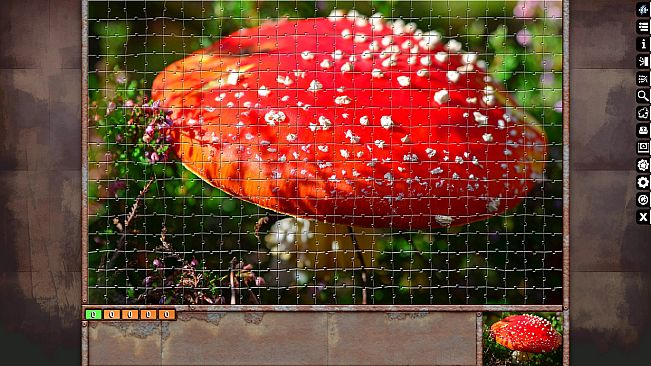 Jigsaw Puzzle Pack - Pixel Puzzles Ultimate: Macro