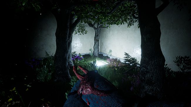 Escape From Violet Institute