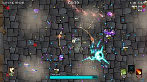 The Journey of Piggy