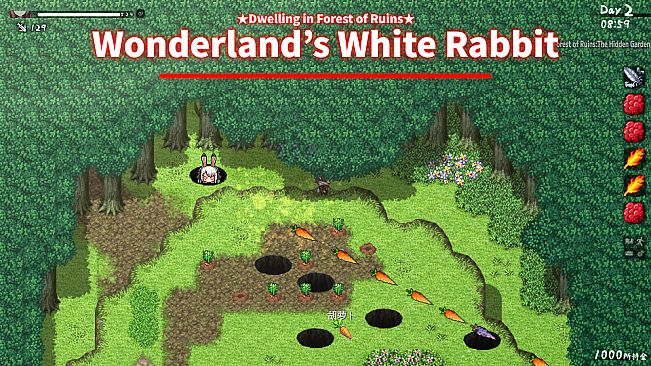 A Simple Life with My Unobtrusive Sister