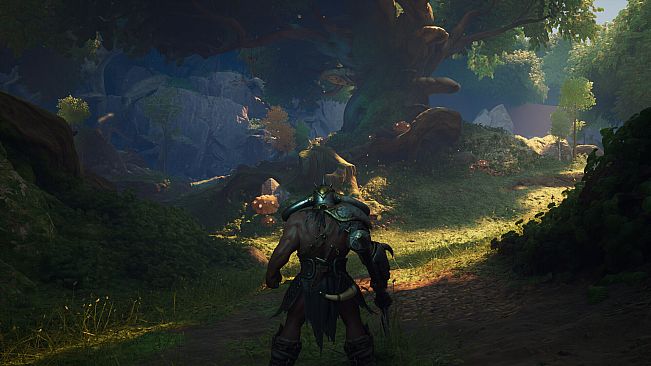 Legacy: Steel & Sorcery - God Tier Supporter Pack