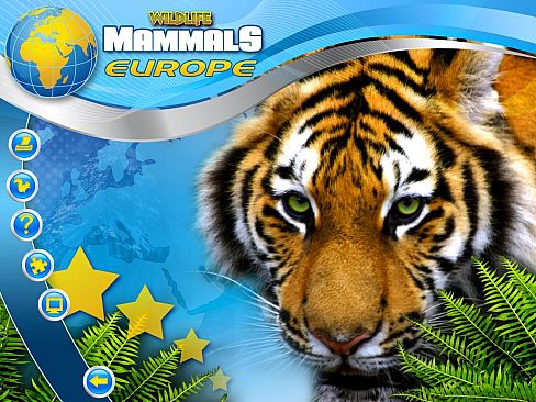 Wildlife Creative Studio