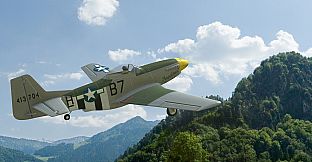 RealFlight Evolution – E-flite P-51D Mustang 1.0m