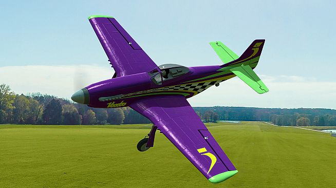 RealFlight Evolution - E-flite UMX P-51D Voodoo