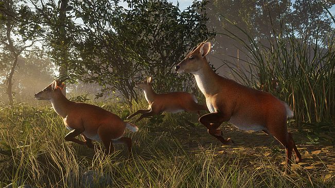 theHunter: Call of the Wild - Sundarpatan Nepal Hunting Reserve