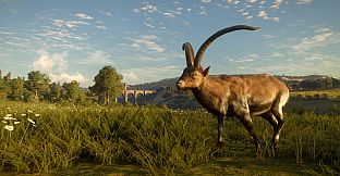 theHunter: Call of the Wild - Cuatro Colinas Game Reserve