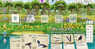 Wingspan: Decorative Packs Bundle