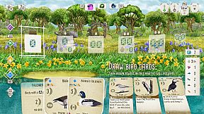 Wingspan + European + Oceania + Asia + Decorative Packs