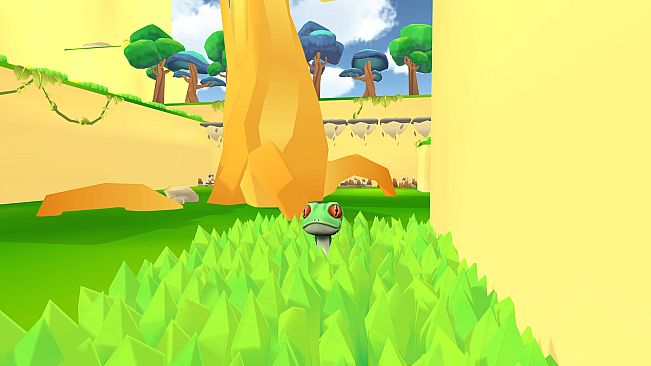 Toad Land