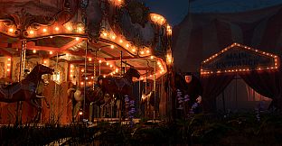 Withering Reflections