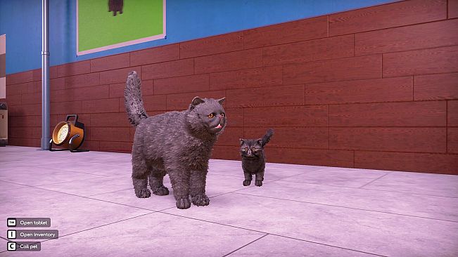 Animal Shelter 2 - Fluffy Cats Pack