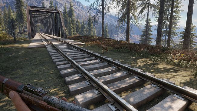 theHunter: Call of the Wild - Weapon Pack 2