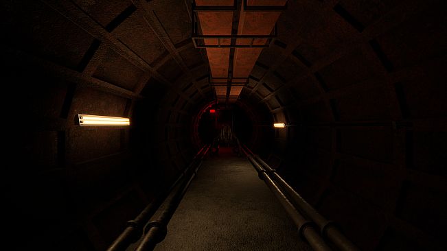 Backrooms: Lost Signal