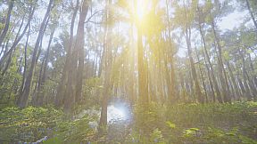 Mindfulness Simulator - ASMR Meditation Game