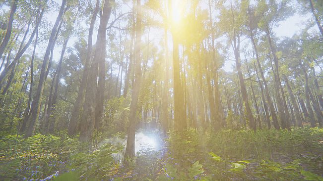 Mindfulness Simulator - ASMR Meditation Game