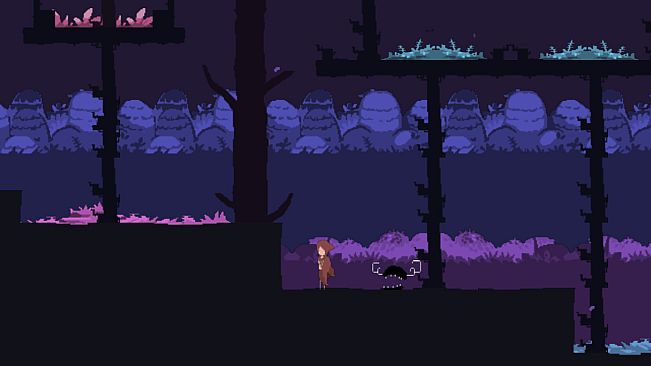 Dreamer: Luxury Version