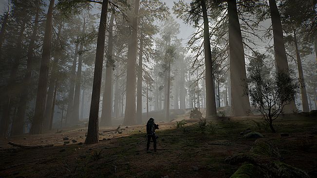 LIFE EFFECT Survival