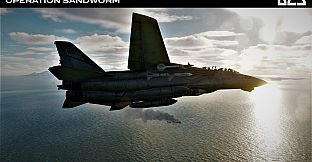 DCS: F-14B Operation Sandworm Campaign