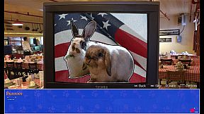 Cat President: A More Purrfect Union