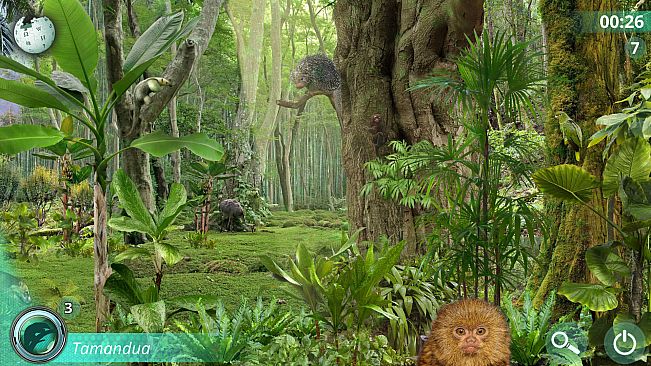 Hidden Animals: Photo Hunt - Worldwide Safari