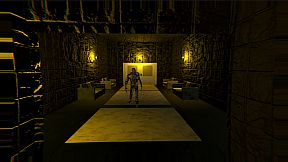 Twelve Mental Patients