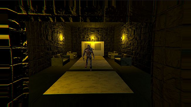 Twelve Mental Patients