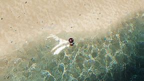 The Ball Flow - Nature and Light