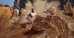 Ram Fights