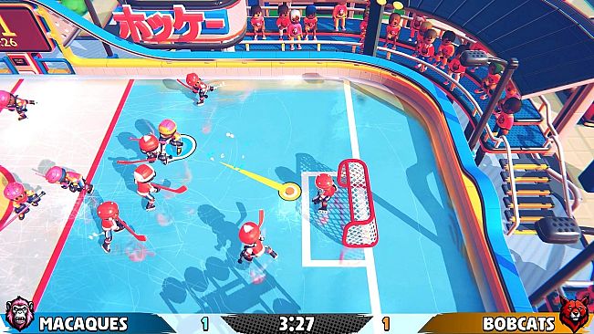 Casual Sport Series: Hockey