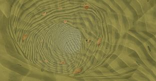 Digging Clams