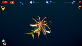 How Much Items - Fishes