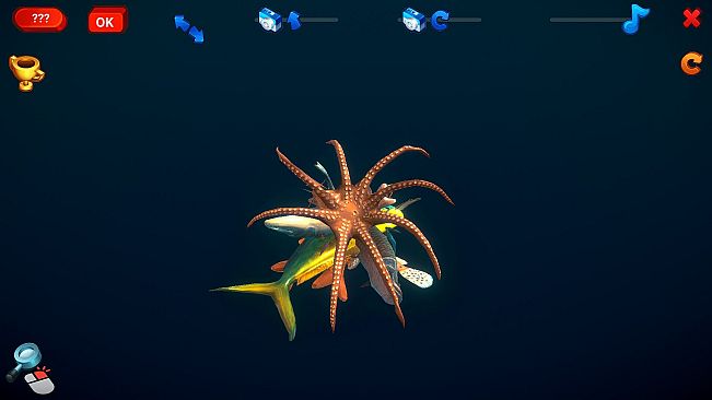 How Much Items - Fishes