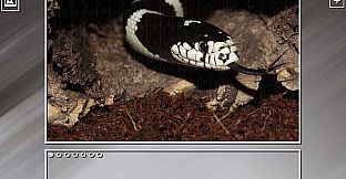 Super Jigsaw Puzzle: Generations - Snakes Puzzles