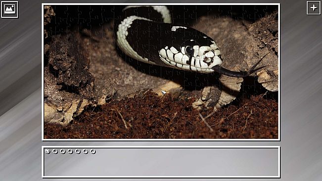 Super Jigsaw Puzzle: Generations - Snakes Puzzles