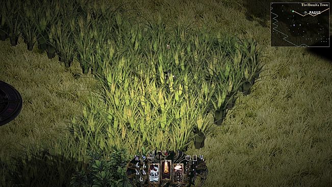 Can I Pet That