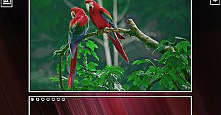 Super Jigsaw Puzzle: Generations - Birds Puzzles