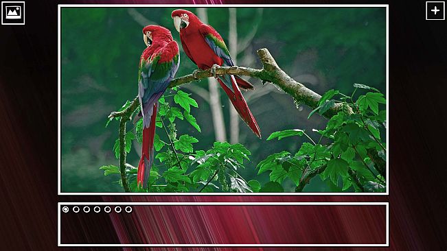 Super Jigsaw Puzzle: Generations - Birds Puzzles