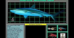 Undersea Adventure
