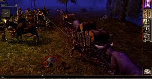 Neverwinter Nights: Wyvern Crown of Cormyr