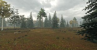 Dark Lots
