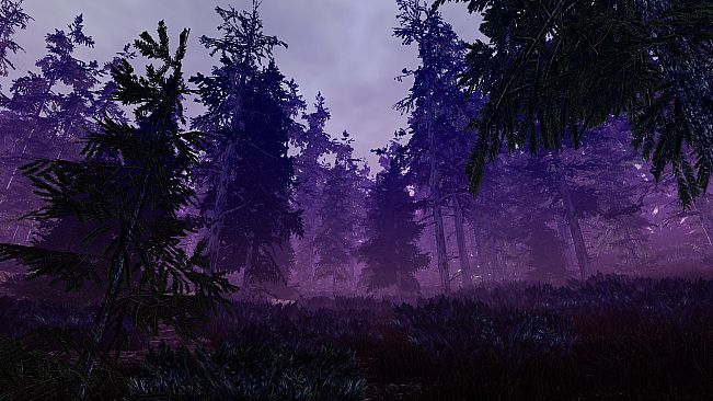 Walking Simulator A Month Club (Complete Edition)