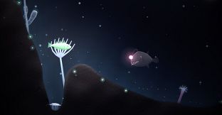 Fish Don't Return