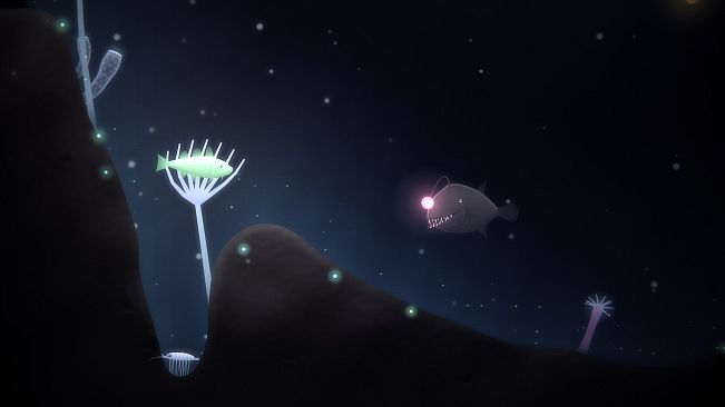 Fish Don't Return